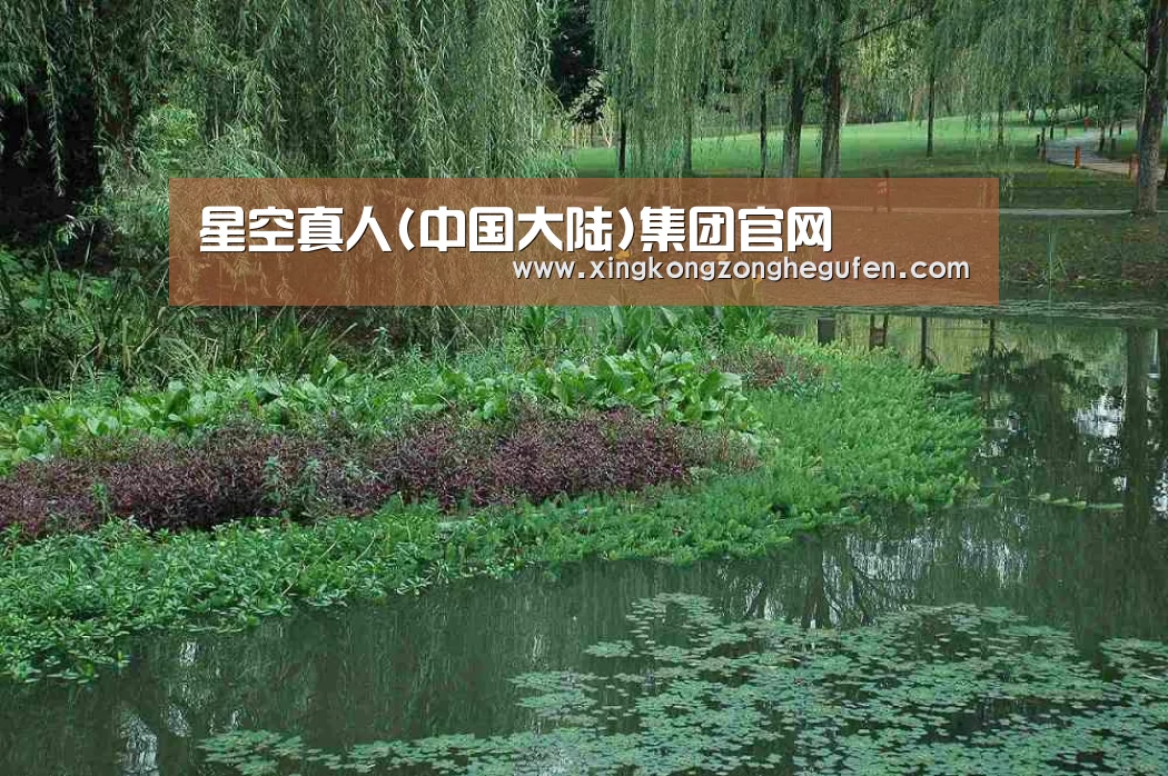 案例展示一(图1)