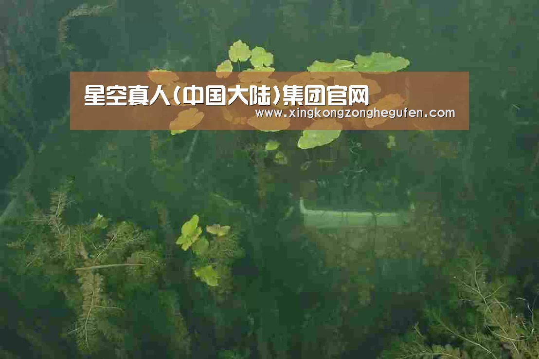 案例展示三(图1)