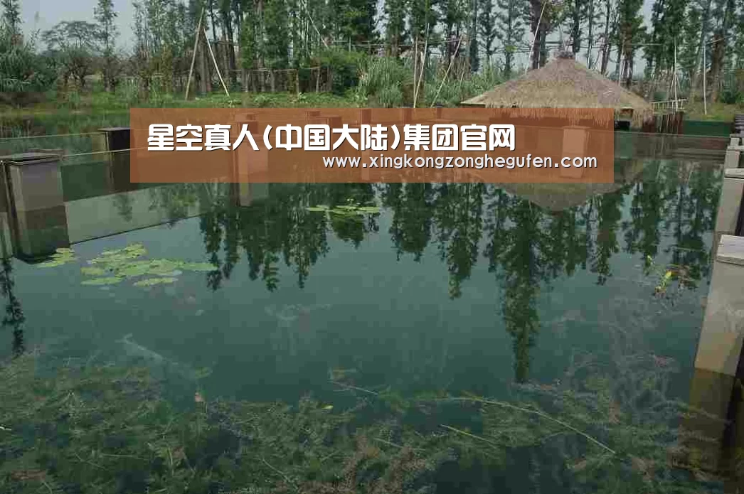 案例展示二