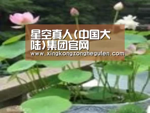 产品名称一
