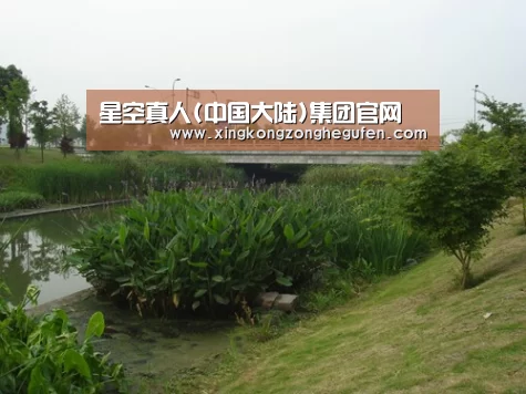 案例展示四