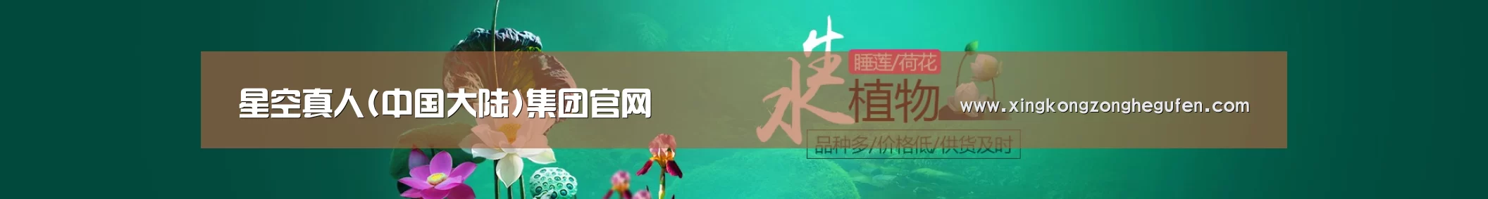鲜花水草花卉网站模板