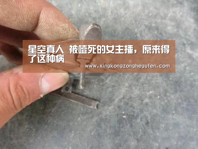 星空真人集团官网