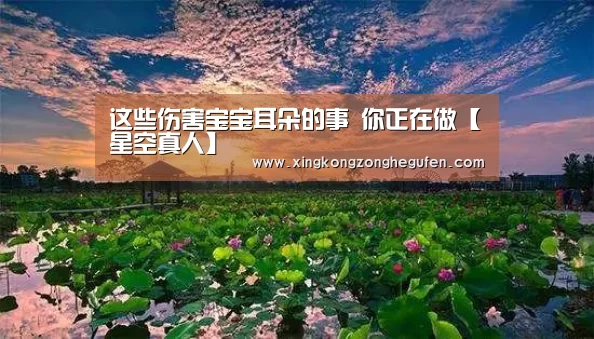 星空真人集团官网