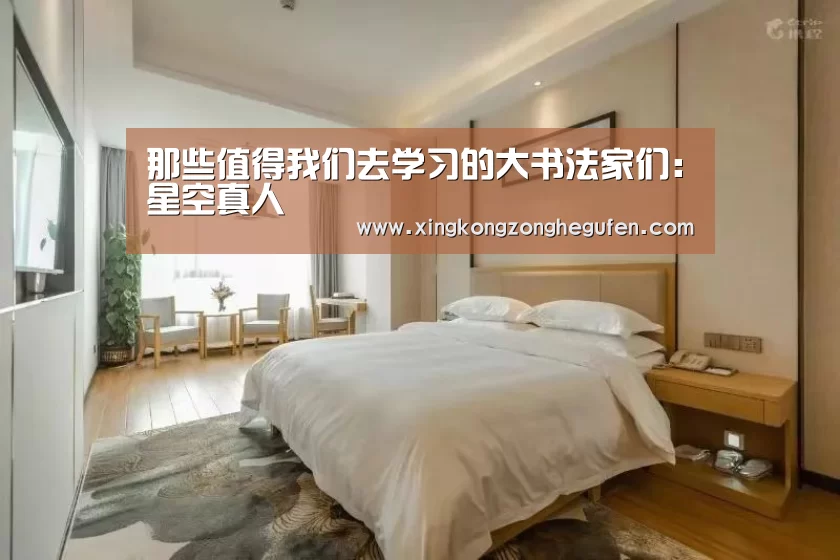 星空真人集团官网