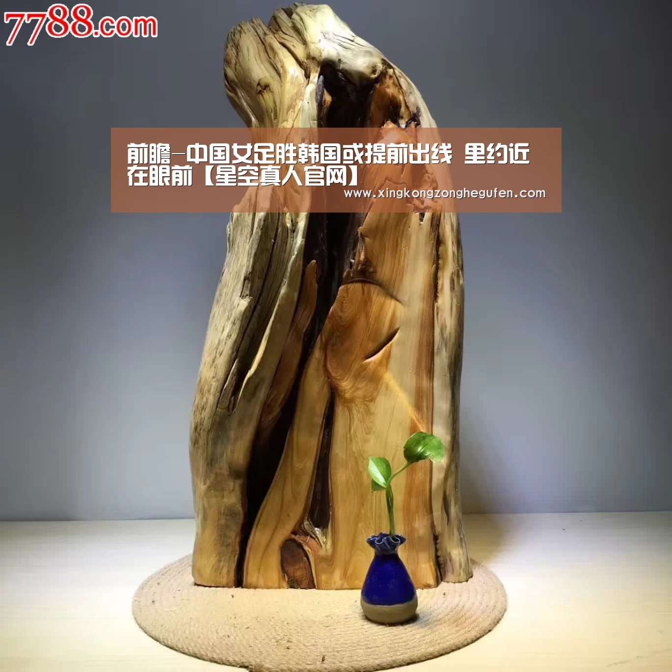 前瞻-中国女足胜韩国或提前出线 里约近在眼前【星空真人官网】(图2) 星空真人