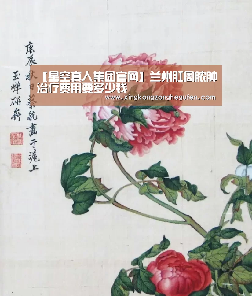 星空真人集团官网