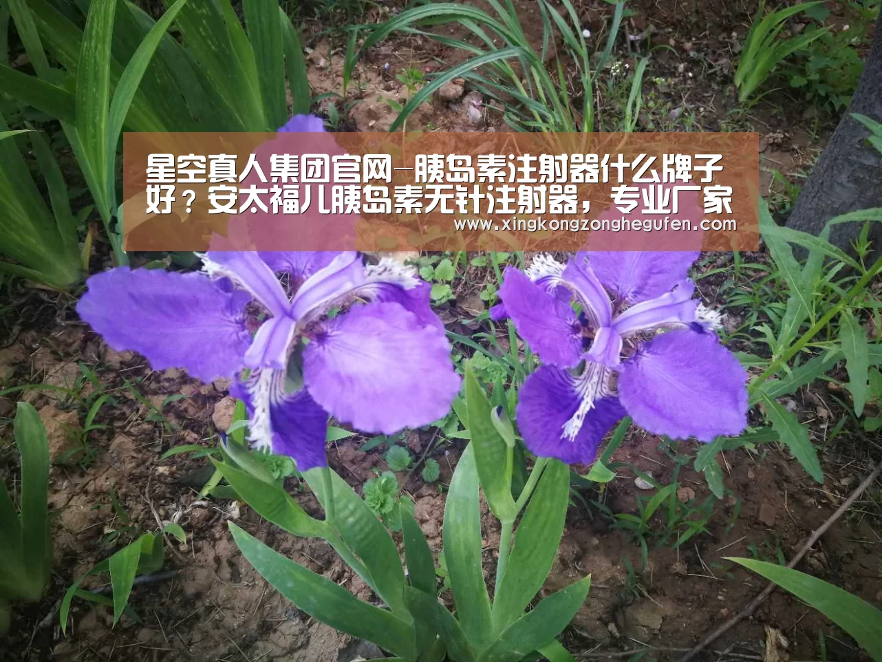 星空真人集团官网-胰岛素注射器什么牌子好?安太福儿胰岛素无针注射器,专业厂家(图1) 星空真人直播