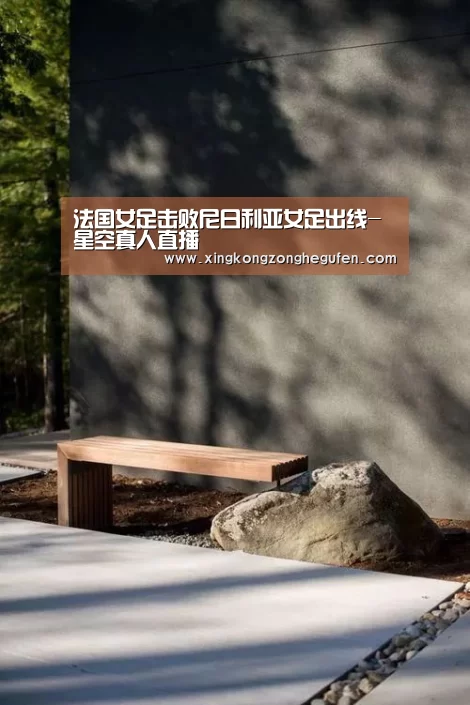 法国女足击败尼日利亚女足出线-星空真人直播(图2) 星空真人直播