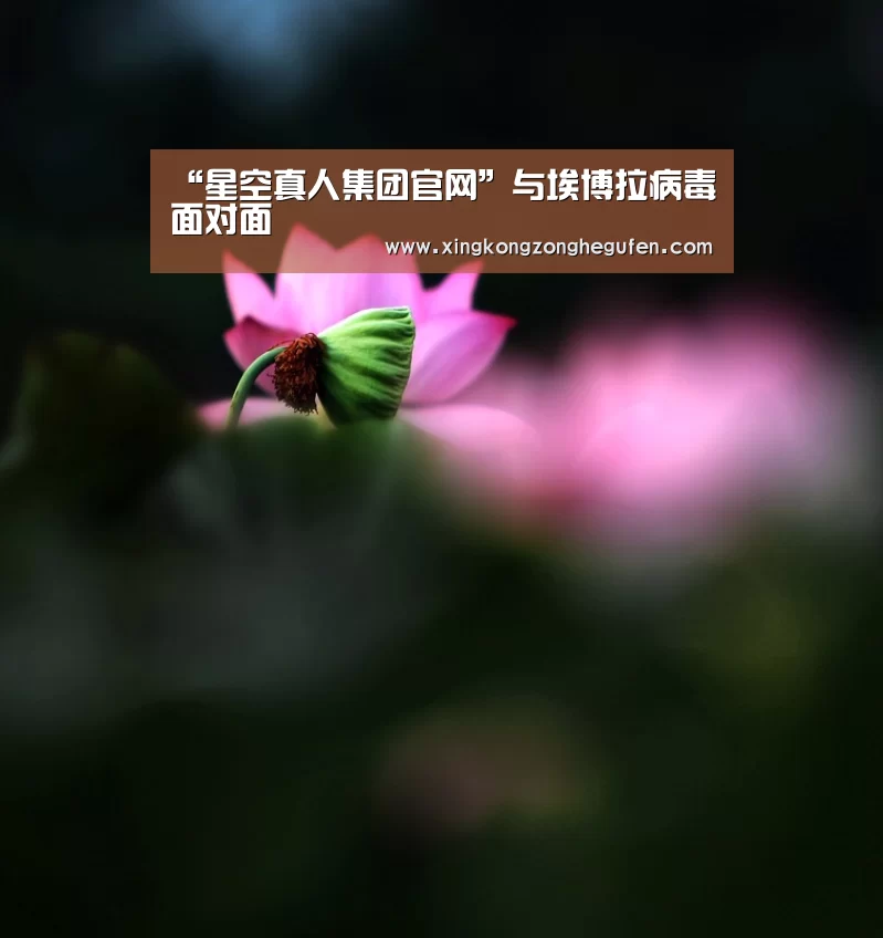 “星空真人集团官网”与埃博拉病毒面对面(图2) 星空真人官网