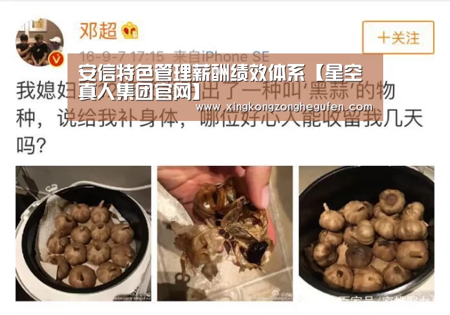 安信特色管理薪酬绩效体系【星空真人集团官网】(图3) 星空真人直播